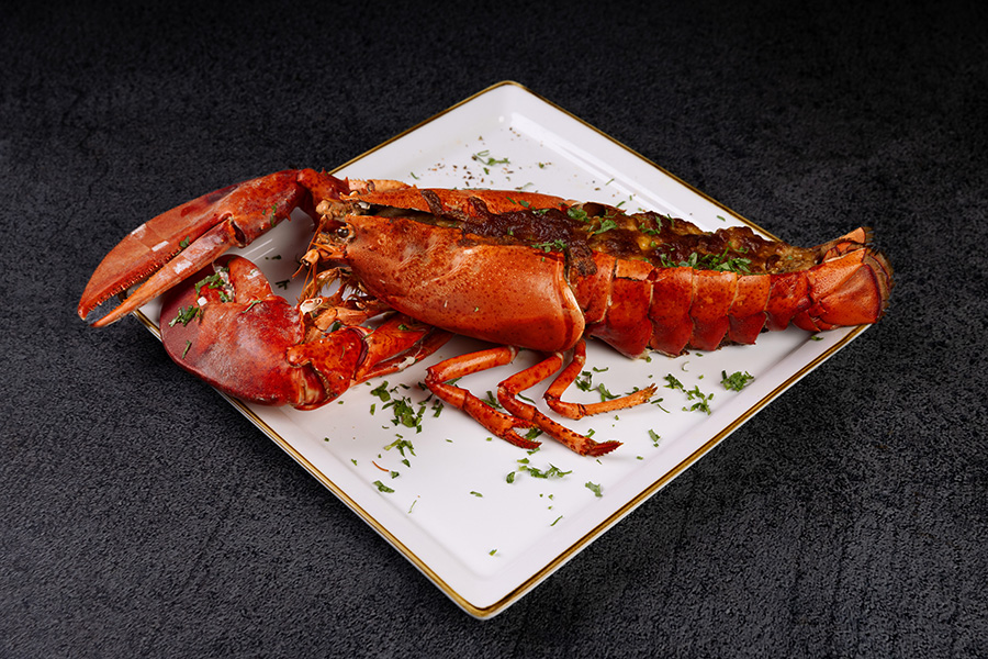 Lobster